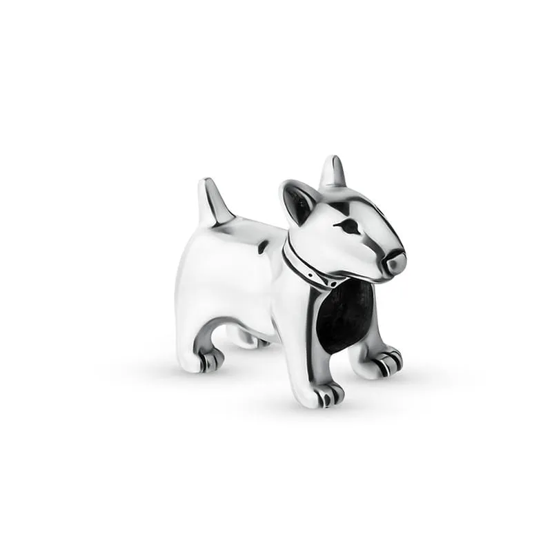 Bull Terrier Charm