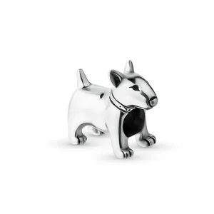 Bull Terrier Charm