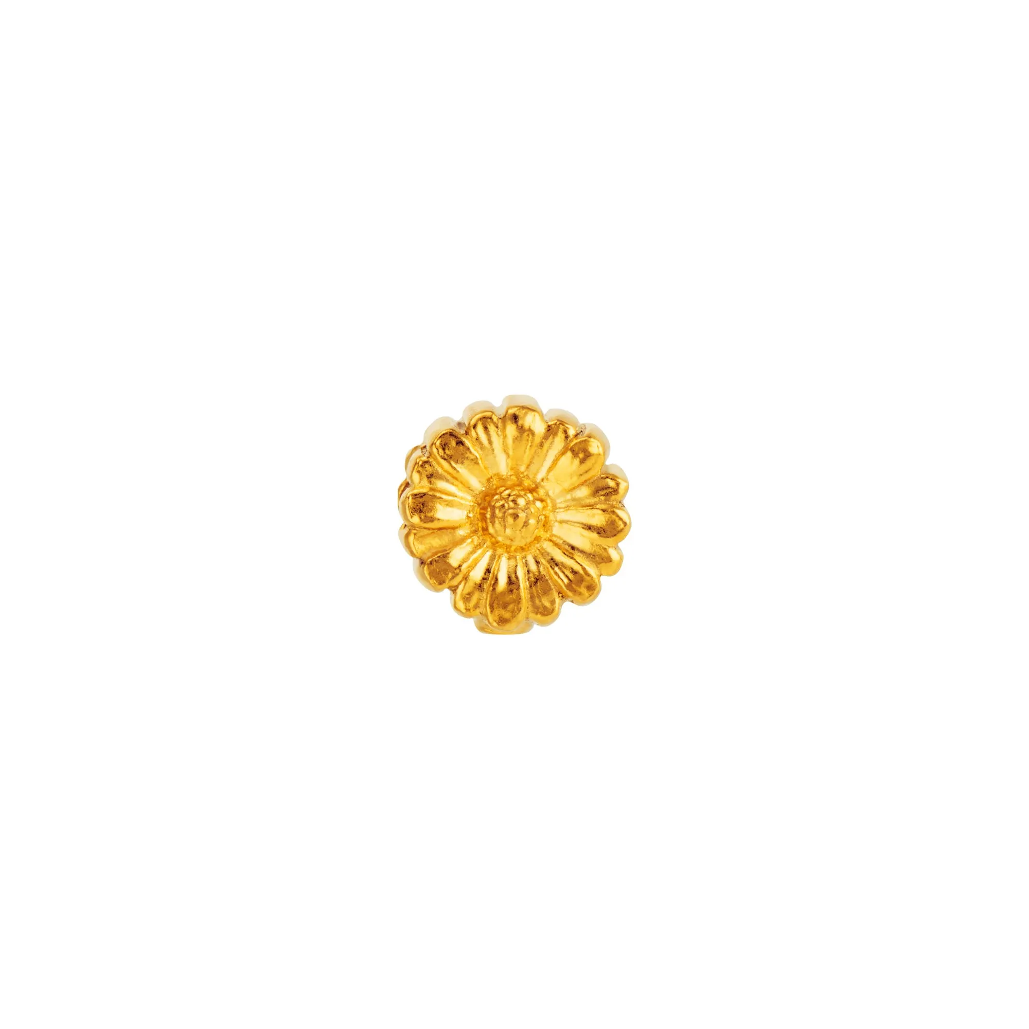 Daisy Charm