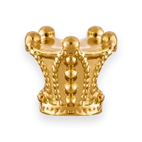 Princess Charm