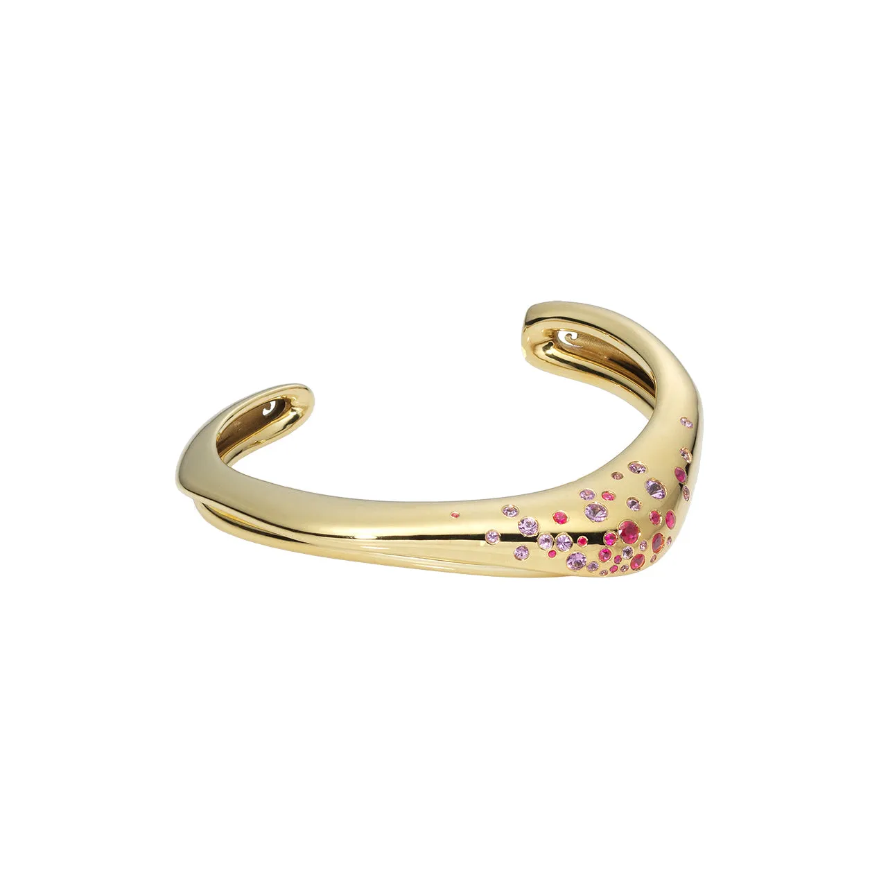 The Untamed Arm Cuff